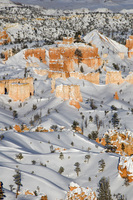 Zion & Bryce Canyon